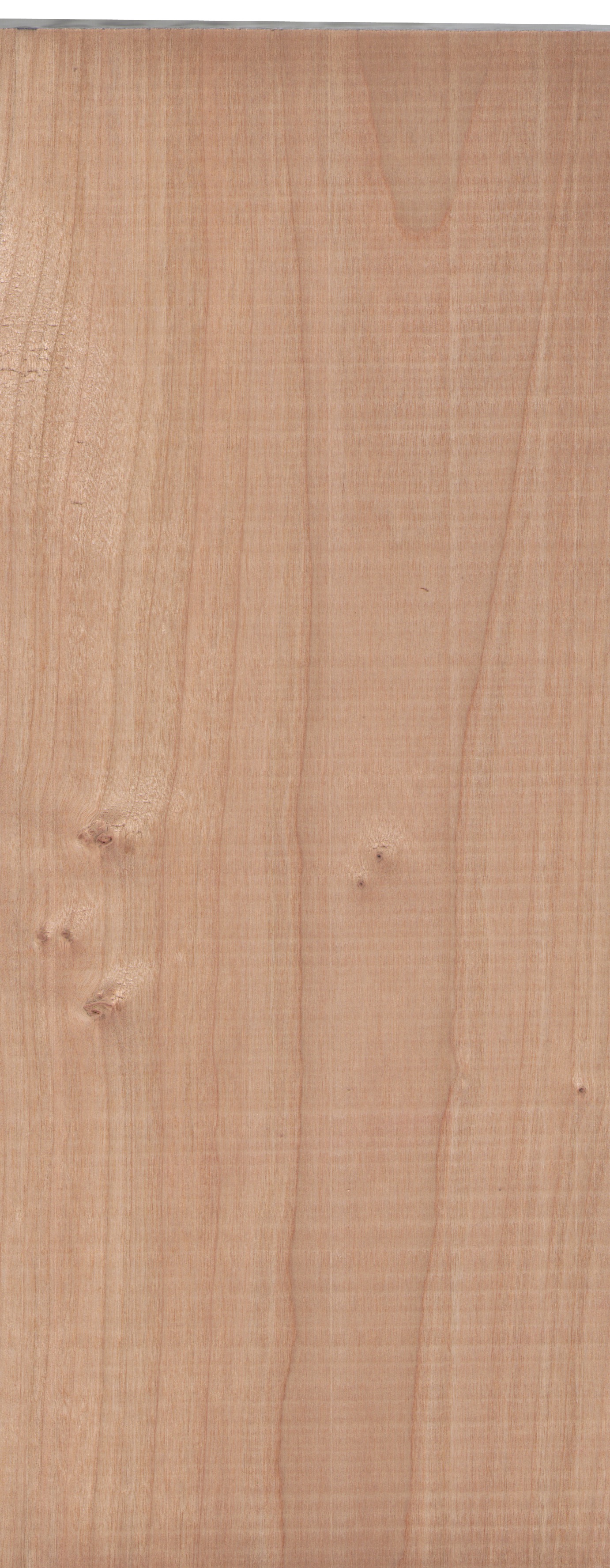 Material 3