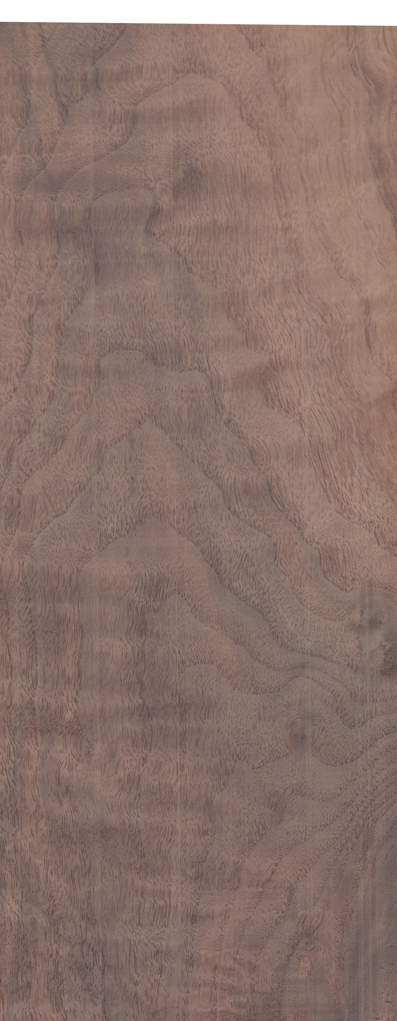 Material 8